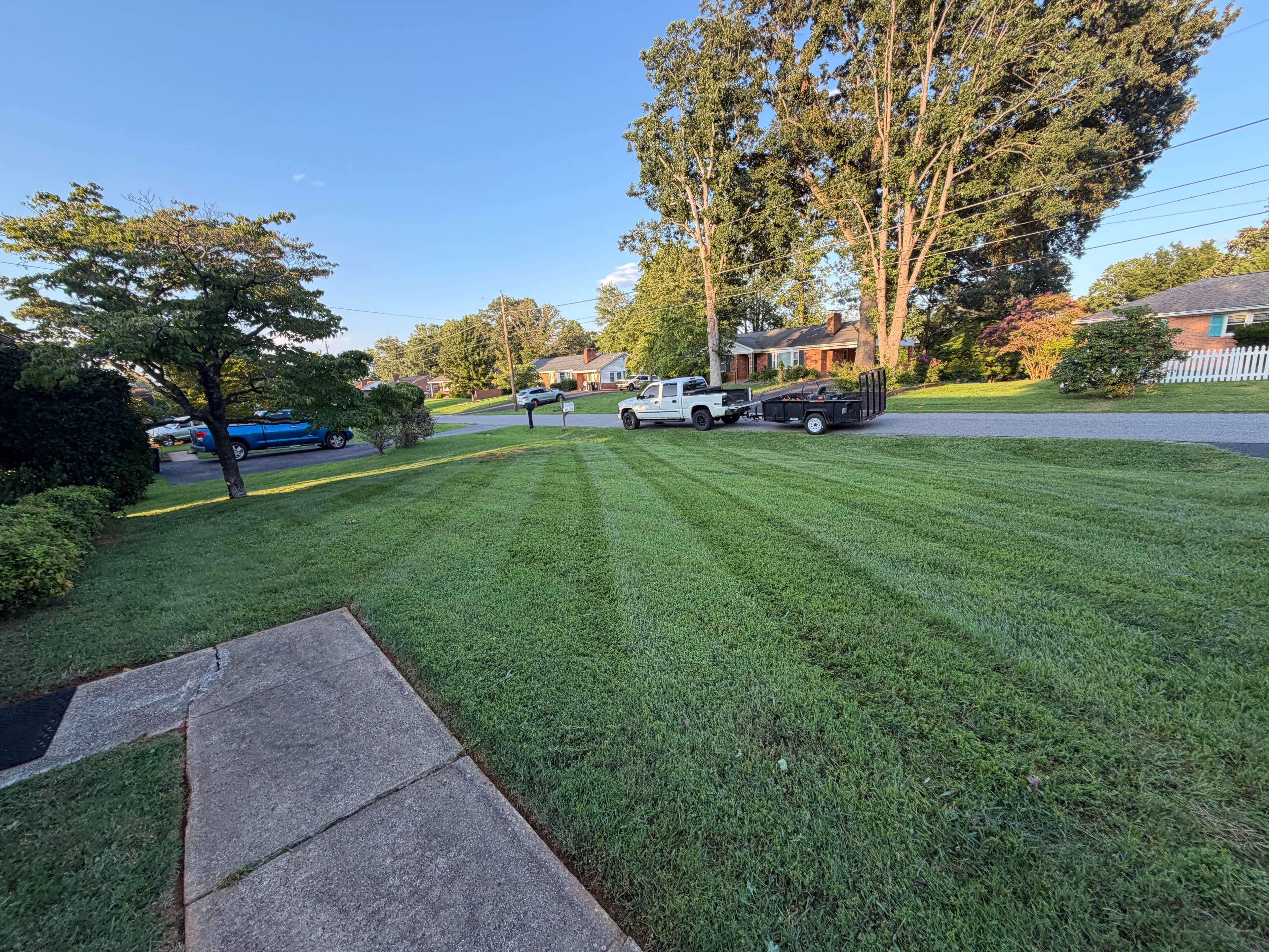 Lawn care results by Robertson's Property Solutions